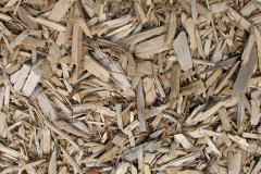 biomass boilers Frittenden